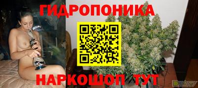 spice Тара