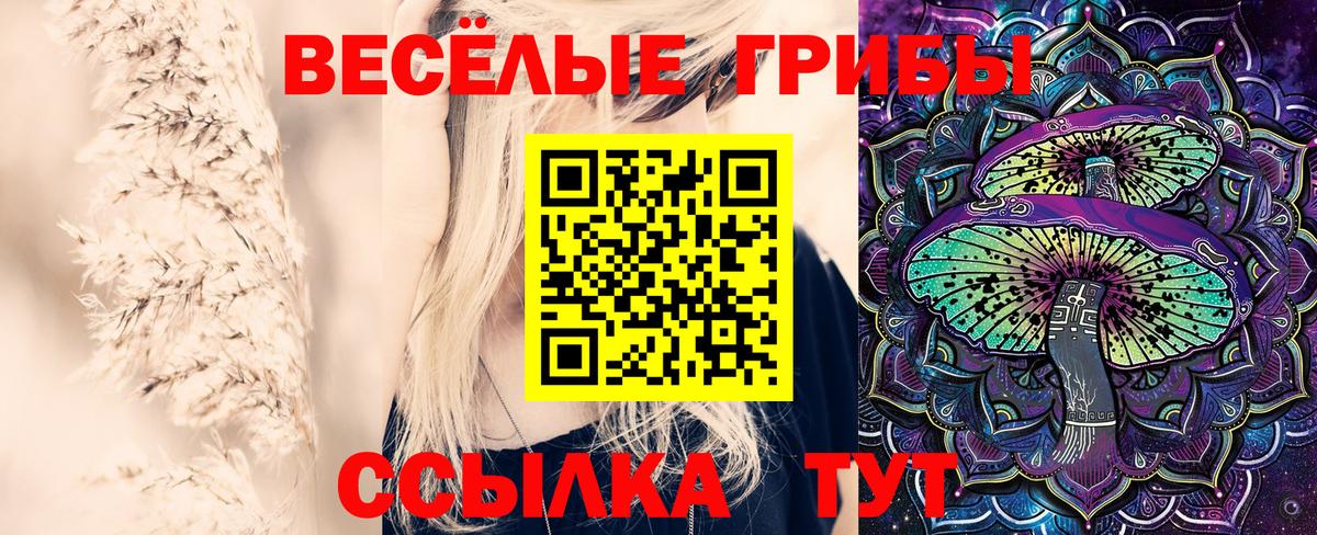 Вятские Поляны  Галлюциногенные грибы мухоморы  Вход с VPN 